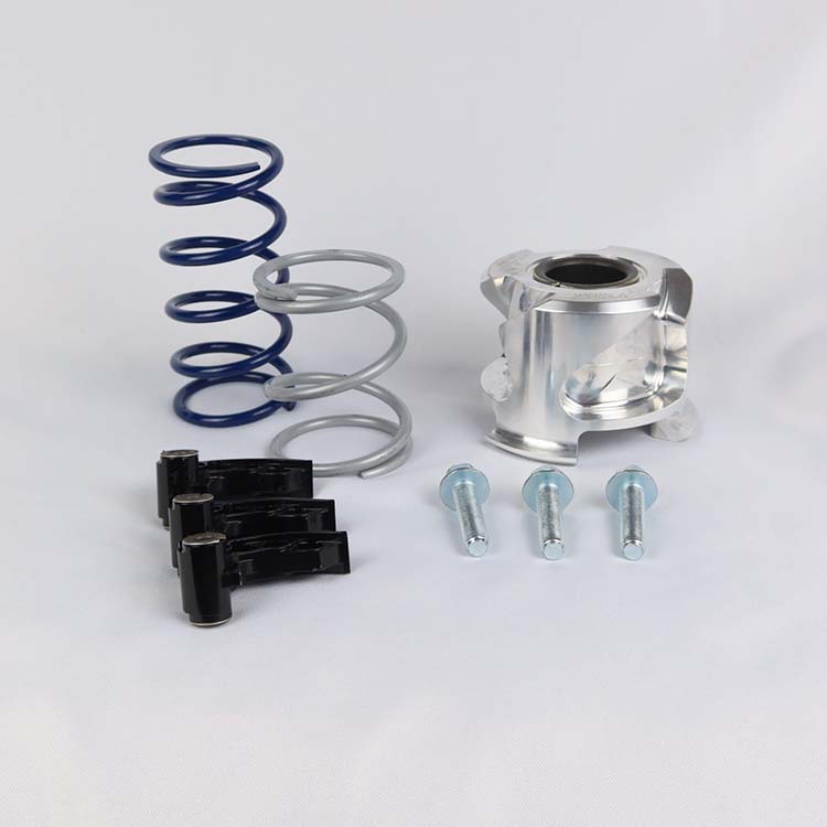 Ibexx 2021-Up Pro XP/XPT Stage 2 Clutch Kit – Treal Performance